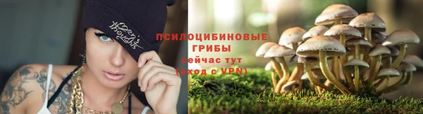 кокаин премиум Алексин