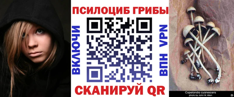 Псилоцибиновые грибы мухоморы  Ржев 